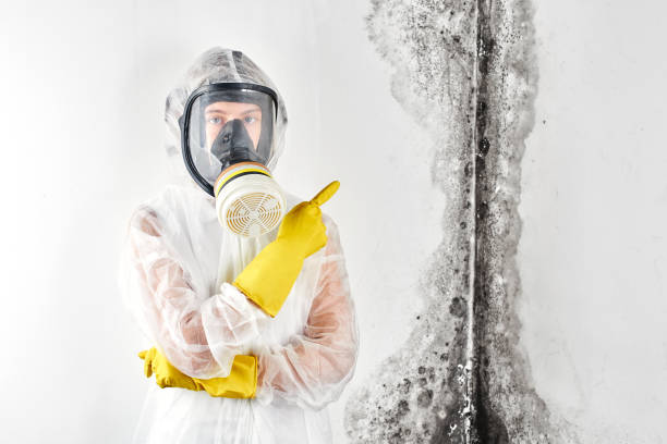 Mold Remediation for Vacation Homes in Gresham, OR